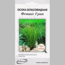 Осока Феникс Грин власовидная