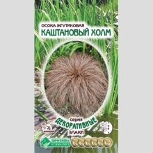 Осока Каштановый холм жгутиковая