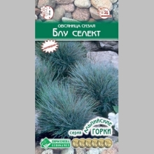 Овсяница Блу Селект сизая