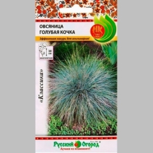 Овсяница Голубая кочка