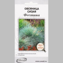 Овсяница Фестина сизая