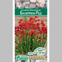Армерия Балерина Ред (приморская)