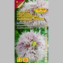 Папавер Лиловый принц (мак)