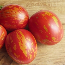 Томат Пасхальное яйцо