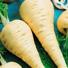 Пастернак Кулинар