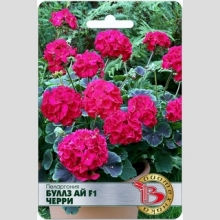 Пеларгония Буллз Ай F1 Черри