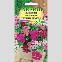 Пеларгония Летний дождь (курчавая) ампельная смесь