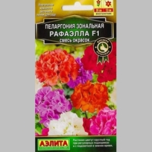 Пеларгония Рафаэлла F1 смесь