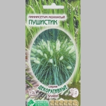 Пиннисетум Пушистик мохнатый