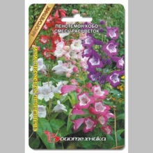 Пенстемон Кобо Свадебные Колокольчики смесь