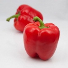 Перец Адмирал Нахимов F1