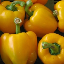 Перец Бульдозер F1