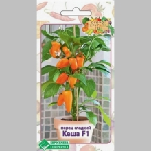 Перец Кеша F1