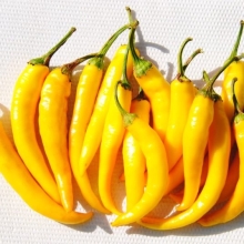 Перец Харви