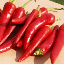 Перец Острый Язычок F1