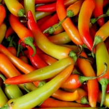 Перец Жгучее Ухо