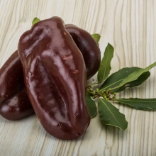 Перец Шоколадный красавец