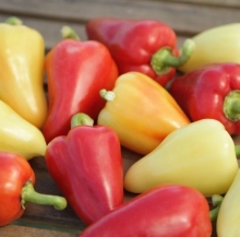 Перец испанский Rico (большой пакет)