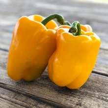 Перец Звезда Востока Желтая F1