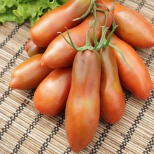 Томат Перцевидный Шоколадный