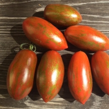 Томат Перчик малиновый в полоску