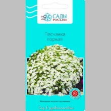 Песчанка горная (аренария)