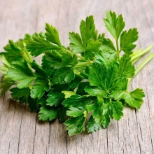 Петрушка Бутербродная (листовая)