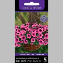 Петуния Изи Вейв F1 Роуз Фьюжн