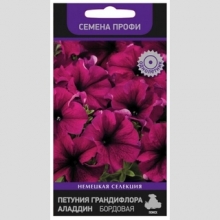 Петуния Аладдин F1 Бордовая (Семена Профи)