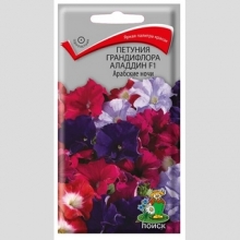Петуния Аладдин F1 Арабские ночи