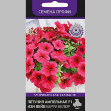 Петуния Изи Вейв F1 Берри Велюр (Семена Профи)