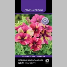 Петуния Шейк Распберри