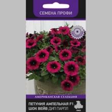 Петуния Шок Вейв F1 Дип Парпл (Семена Профи)