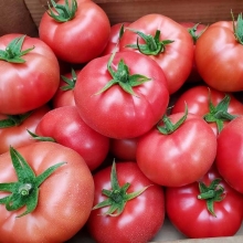 Томат Пинк Айди F1