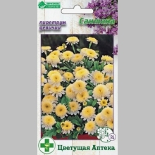 Пиретрум Сантана девичий