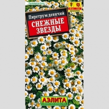 Пиретрум Снежные звезды