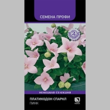 Платикодон Спаркл Пинк
