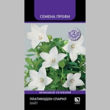 Платикодон Спаркл Вайт