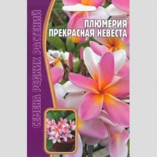 Плюмерия Прекрасная Невеста (большой пакет)