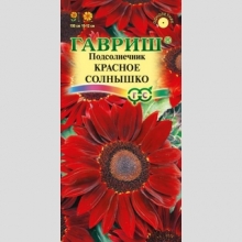 Подсолнечник Красное солнышко декоративный