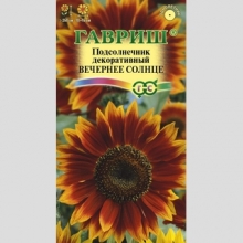 Подсолнечник Вечернее солнце декоративный