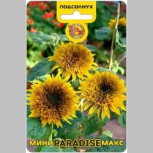 Подсолнух Мини-Макс F1 Парадиз