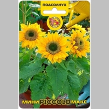 Подсолнух Мини-Макс F1 Пикколо