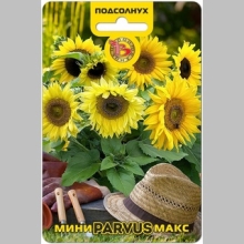 Подсолнух Мини-Макс Парвус F1