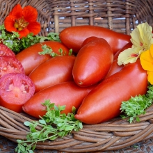 Томат Поззано F1