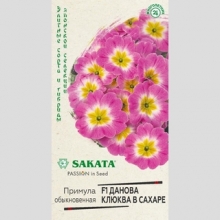 Примула Данова Клюква в сахаре F1 бесстебельная