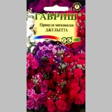 Примула Джульетта мягковатая