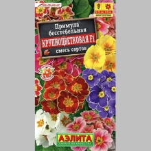 Примула Крупноцветковая F1, смесь сортов