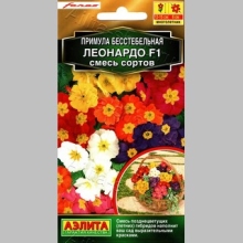 Примула Леонардо F1 смесь сортов