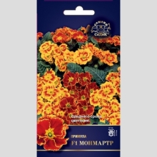 Примула Монмартр F1 (бесстебельная)